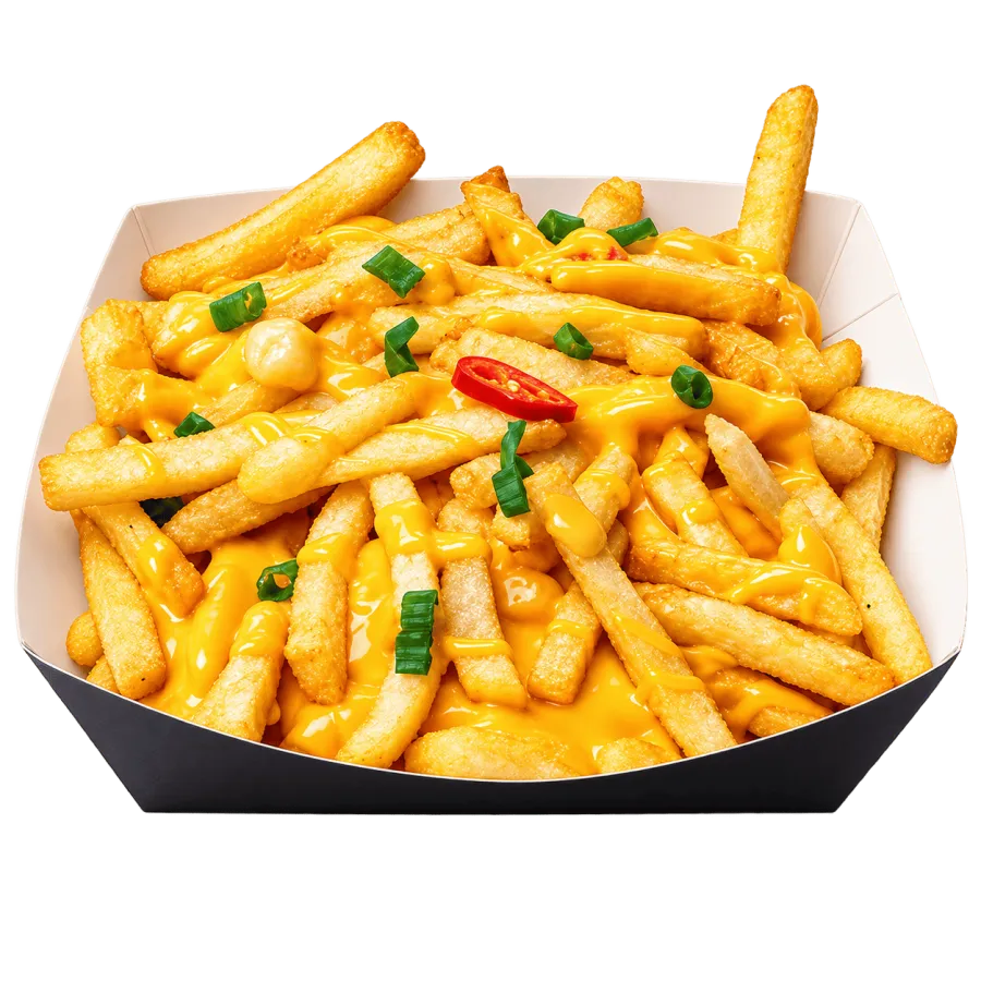LOADED FRIES